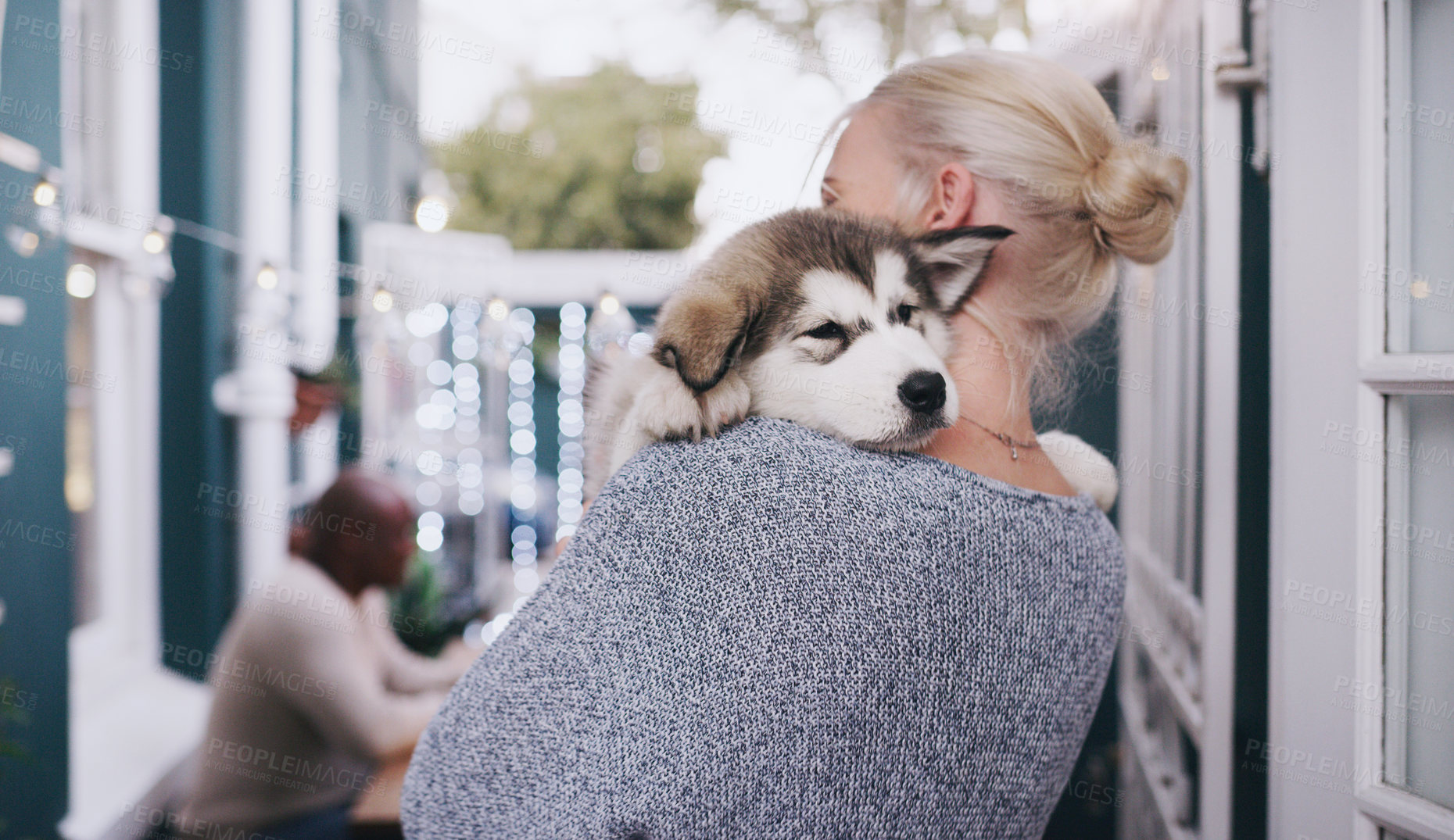 Buy stock photo Dogs, love and a woman carrying her pet in the home as a companion for trust, safety or friendship. Happy, dog and a female animal owner holding her purebred husky puppy with care in a house