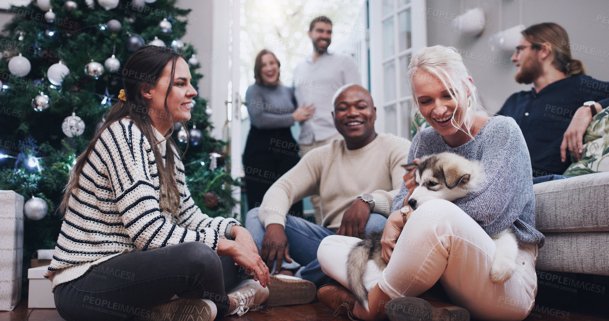 Buy stock photo Shot of young woman cuddling her adorable husky puppy during a Christmas party at home