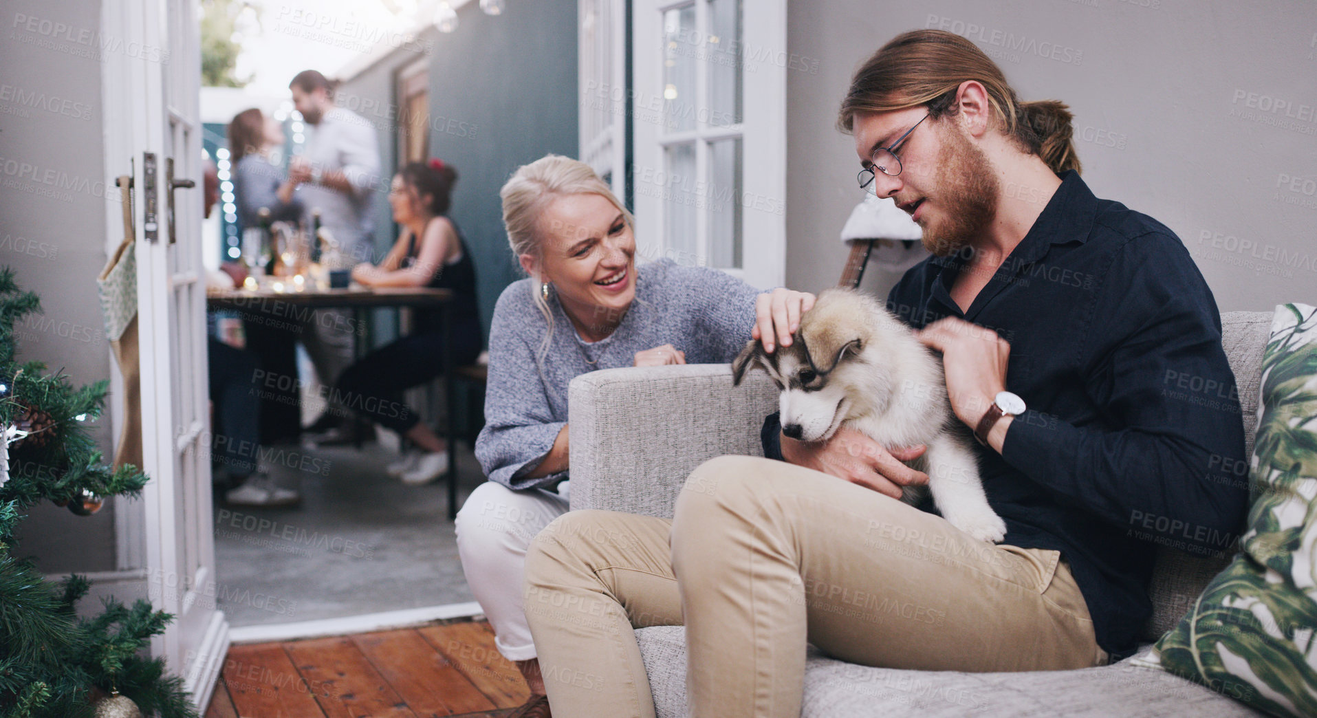 Buy stock photo Shot of young friends petting an adorable husky puppy during a Christmas party at home