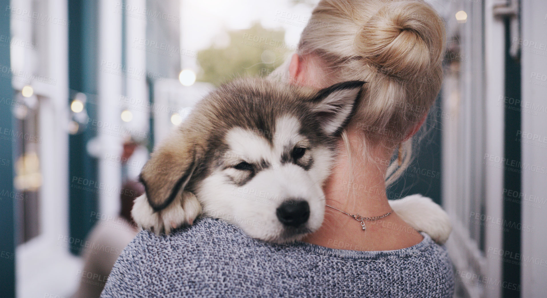 Buy stock photo Pet, love and a woman carrying her dog in the home as a companion for trust, safety or friendship. Happy, dogs and a female animal owner holding her purebred husky puppy over her shoulder in a house