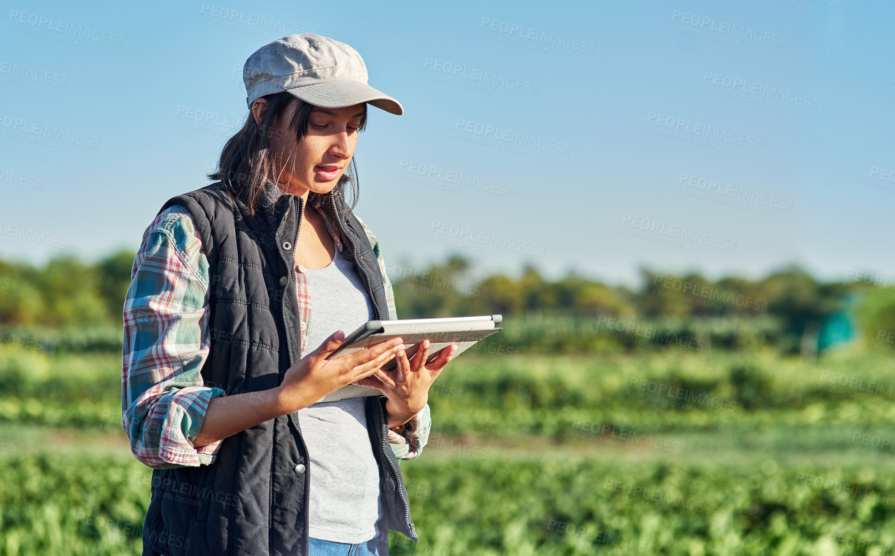 Buy stock photo Shot of a young female farmer using a digital tablet while inspecting crops on her farm