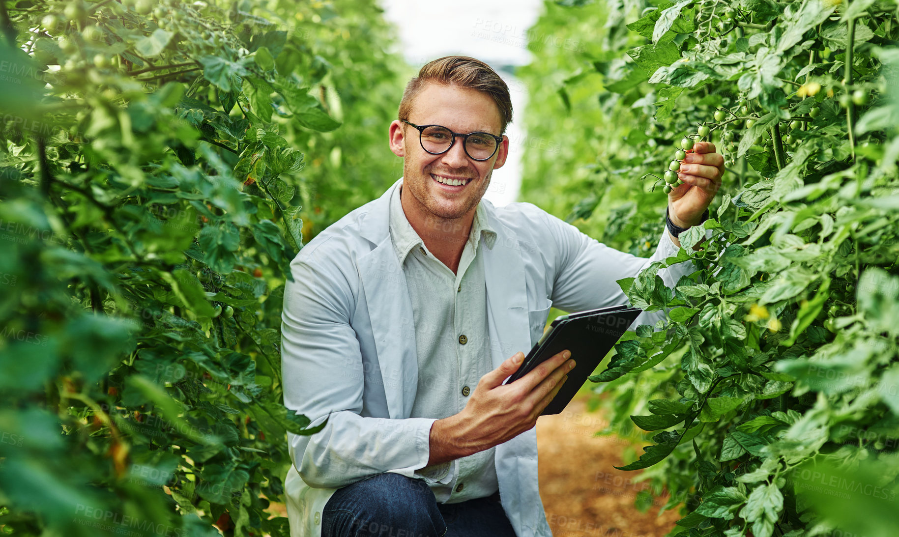 Buy stock photo Portrait of a handsome young scientist using a digital tablet while studying plants and crops outdoors on a farm