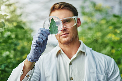 Buy stock photo Shot of a handsome young scientist examining a plant sample outdoors
