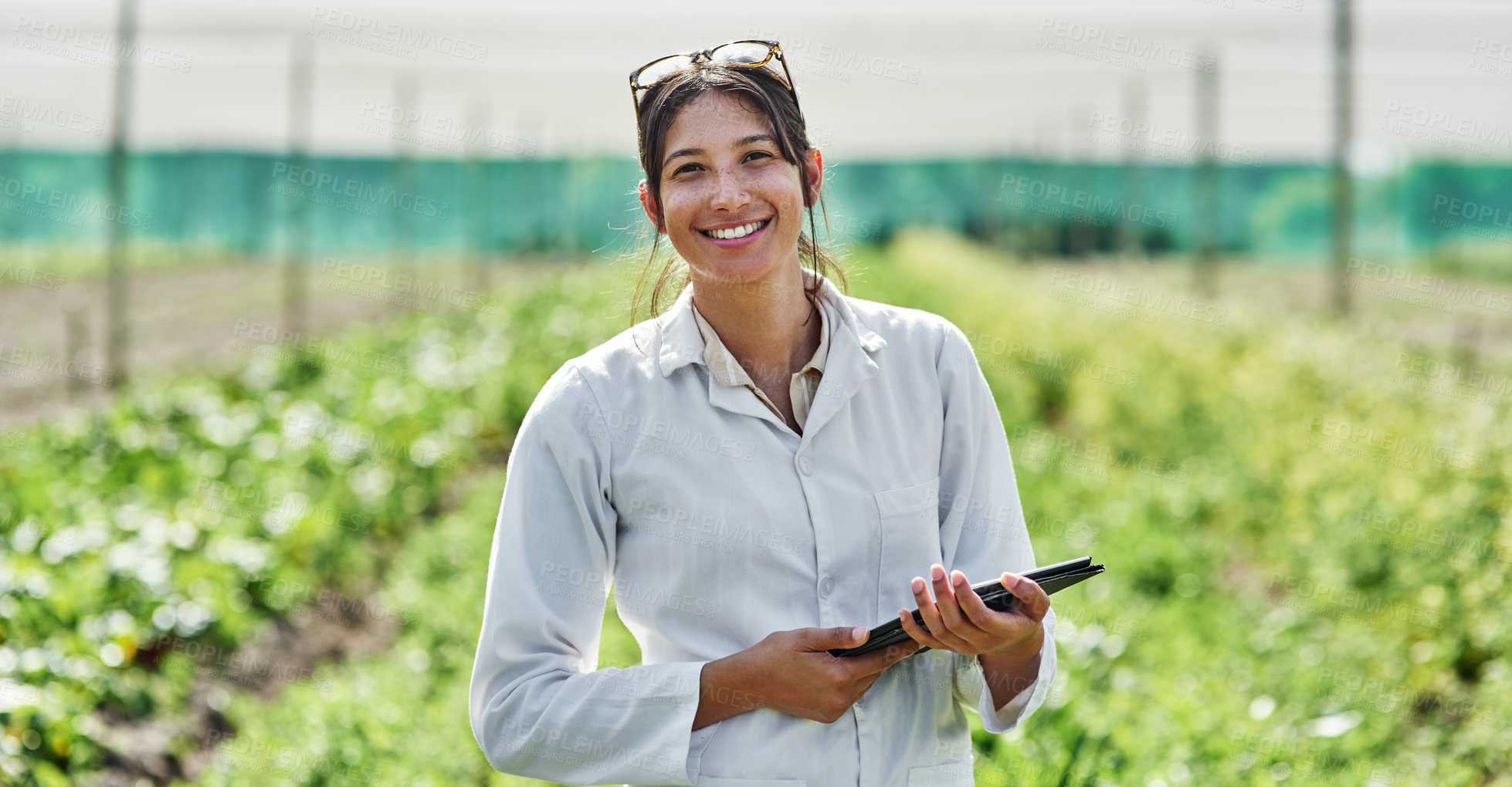 Buy stock photo Portrait, tablet and agriculture with a woman in a greenhouse on a farm for organic sustainability. Food, spring and a female farmer outdoor to manage fresh vegetables or produce crops for harvest