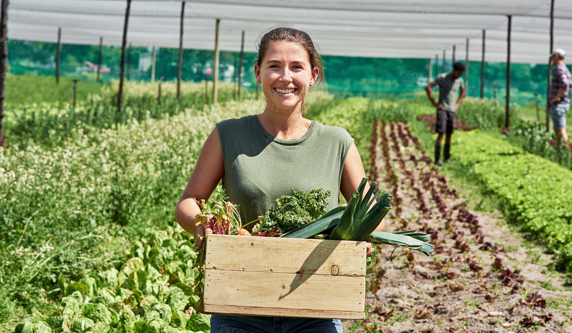 Buy stock photo Portrait, agriculture and a woman in a greenhouse on a farm for sustainability in the harvest season. Smile, spring and food with a female farmer carrying a crate of fresh vegetables or produce