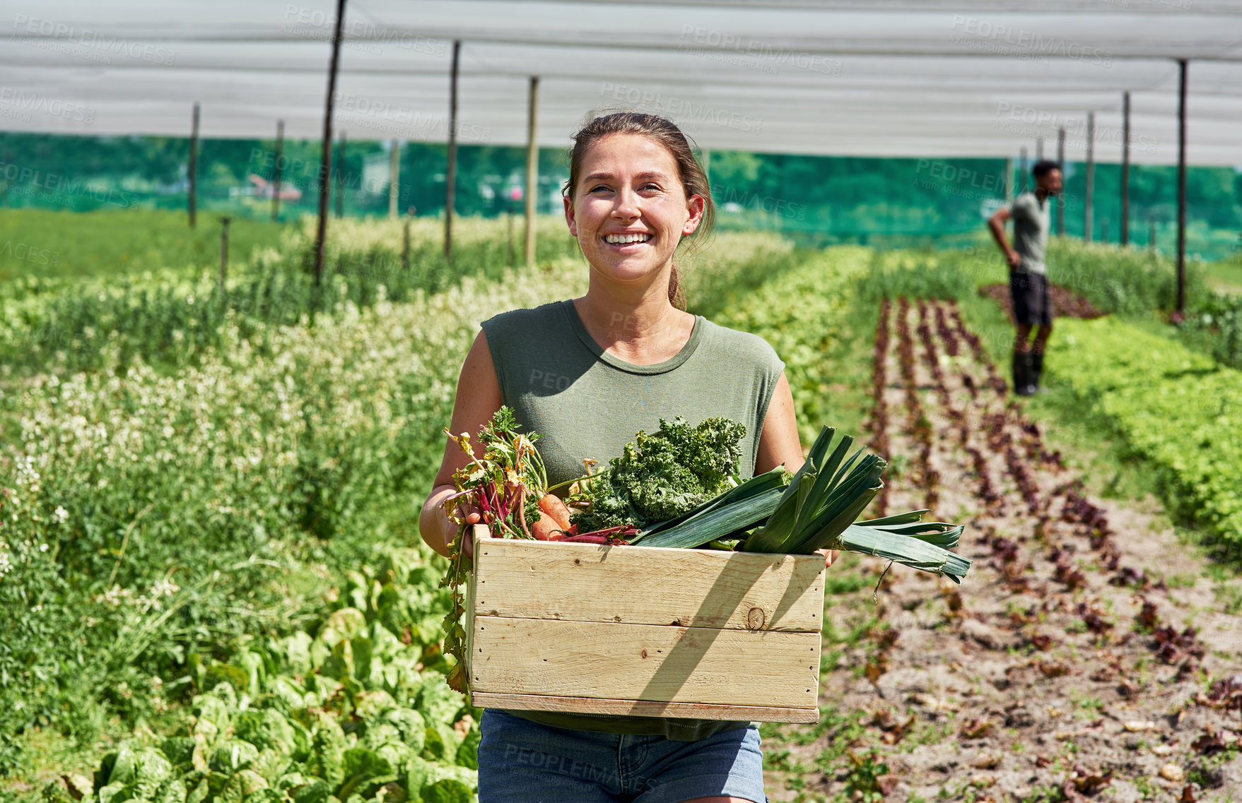 Buy stock photo Portrait of an attractive young woman carrying a crate full of vegetables outdoors on a farm