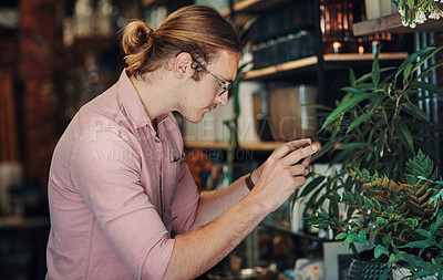 Buy stock photo Cropped shot of a handsome young businessman standing in his floristry and using his cellphone to photograph his flowers