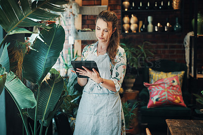 Buy stock photo Cropped shot of an attractive young businesswoman standing alone in her flower shop and using a tablet