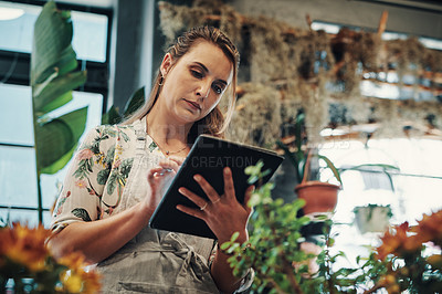 Buy stock photo Cropped shot of an attractive young businesswoman standing alone in her flower shop and using a tablet