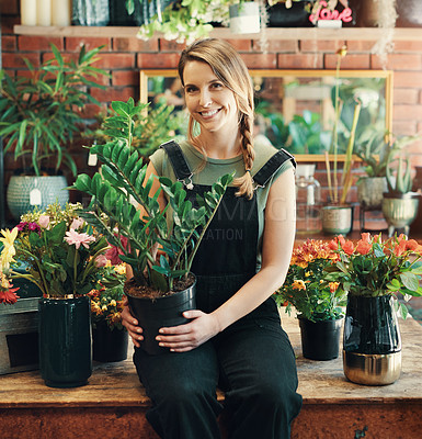 Buy stock photo Cropped portrait of an attractive young business owner sitting alone in her floristry and holding a pot plant