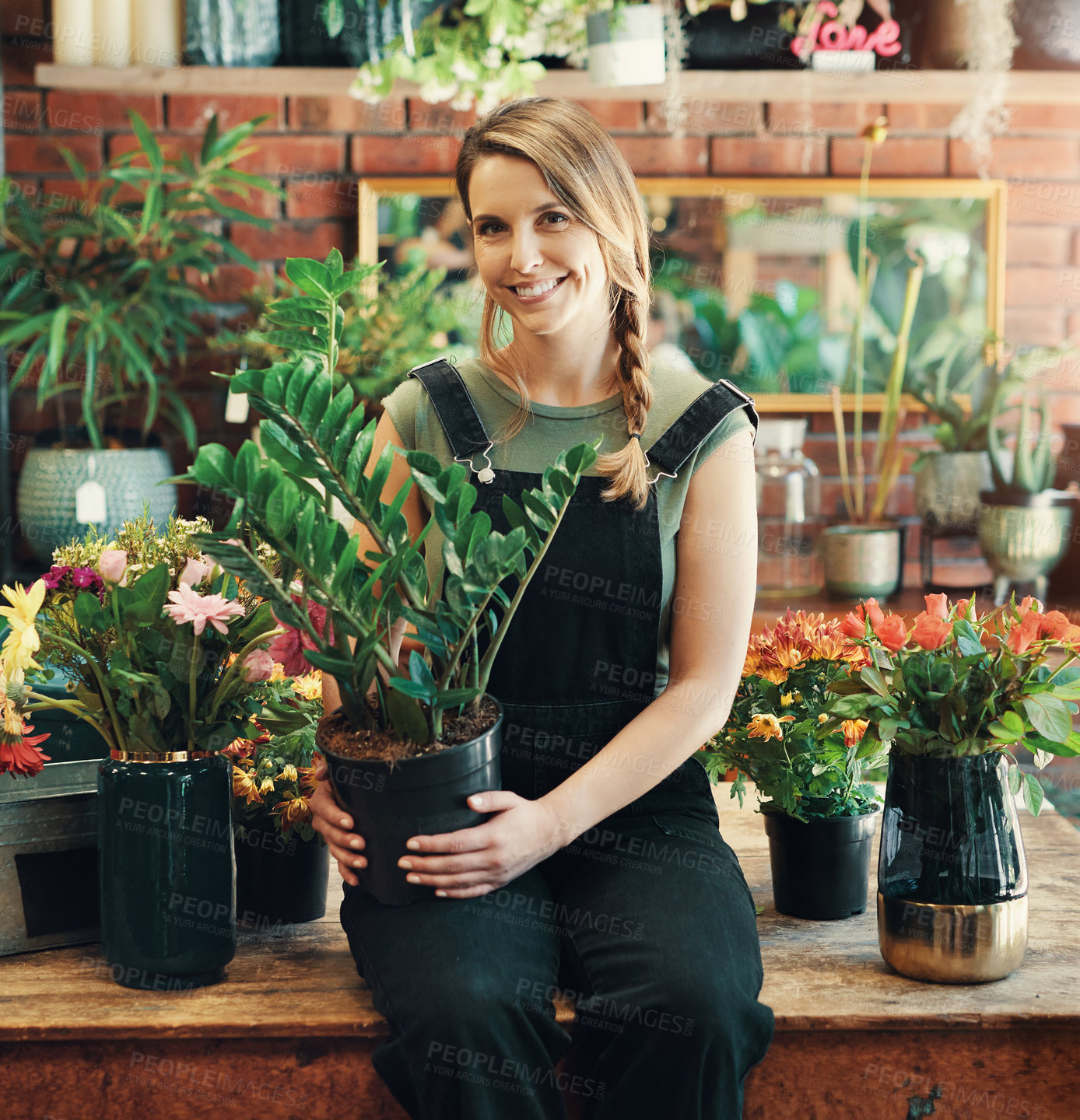 Buy stock photo Cropped portrait of an attractive young business owner sitting alone in her floristry and holding a pot plant