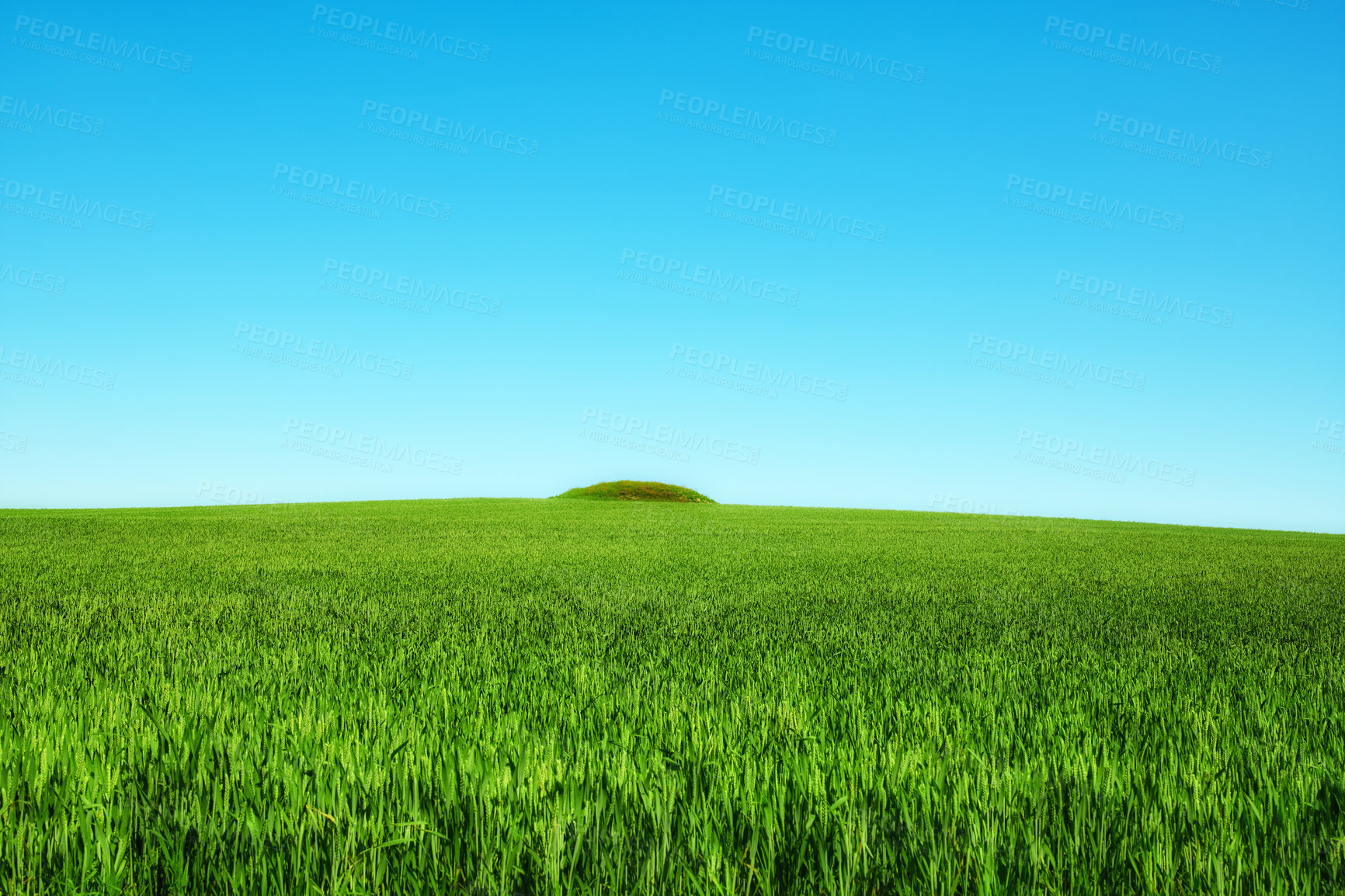 Buy stock photo Blue sky, grass and green field with hill landscape for sustainability, meadow environment or biodiversity. Mockup space, countryside or farmland with eco friendly scenery, ecology or travel location