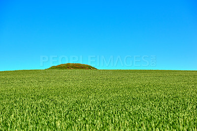 Buy stock photo Ancient Viking burial mound in the countryside - Denmark