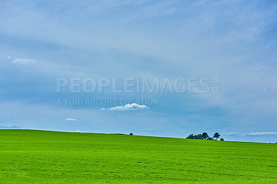 Buy stock photo Farmland in springtime - lots of copy space