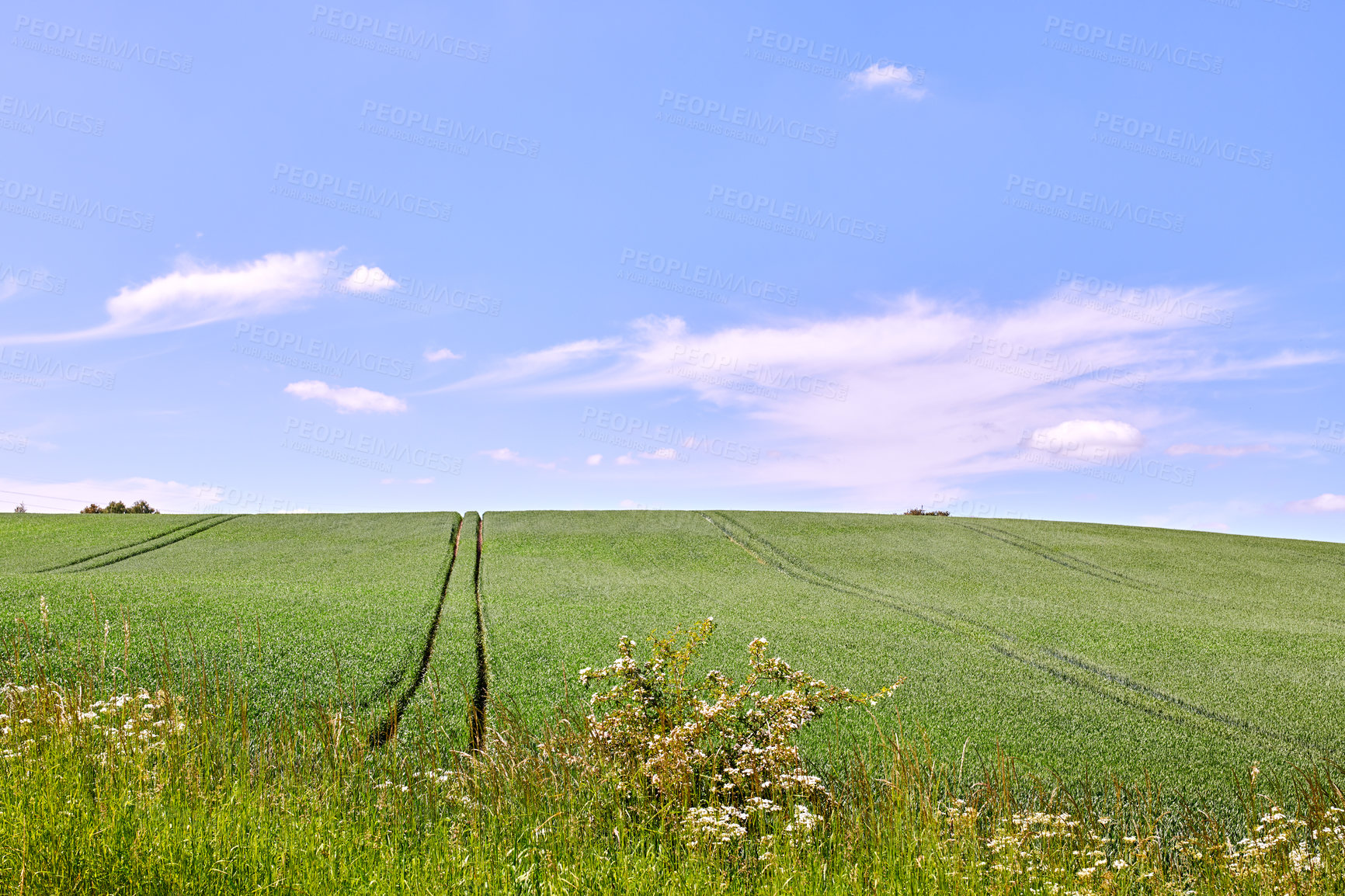 Buy stock photo Farmland in springtime - lots of copy space