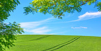 Green fields and blue sky framed by trees