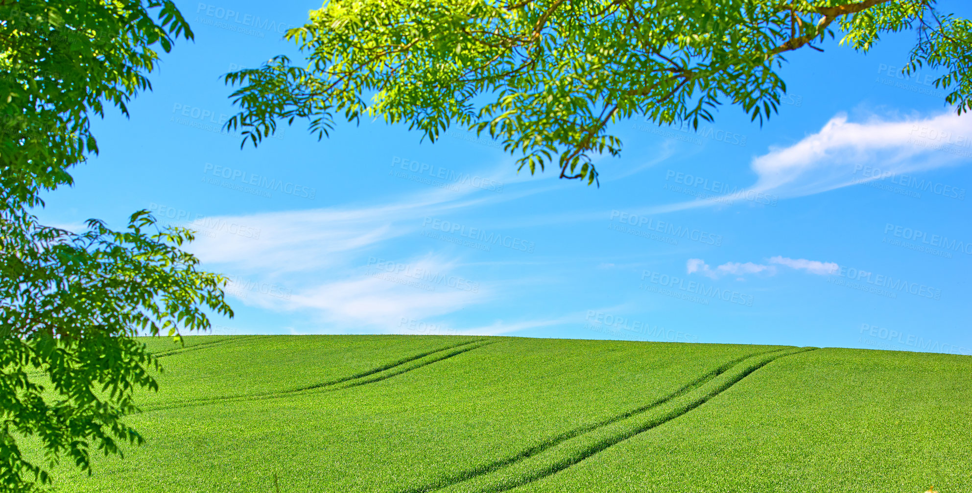 Buy stock photo Green fields and blue sky framed by trees - lots of copy space