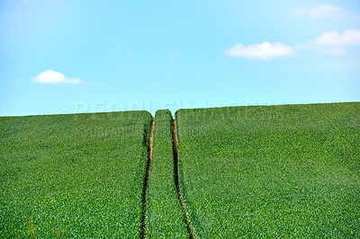 Buy stock photo Rolling Green fields and blue sky 