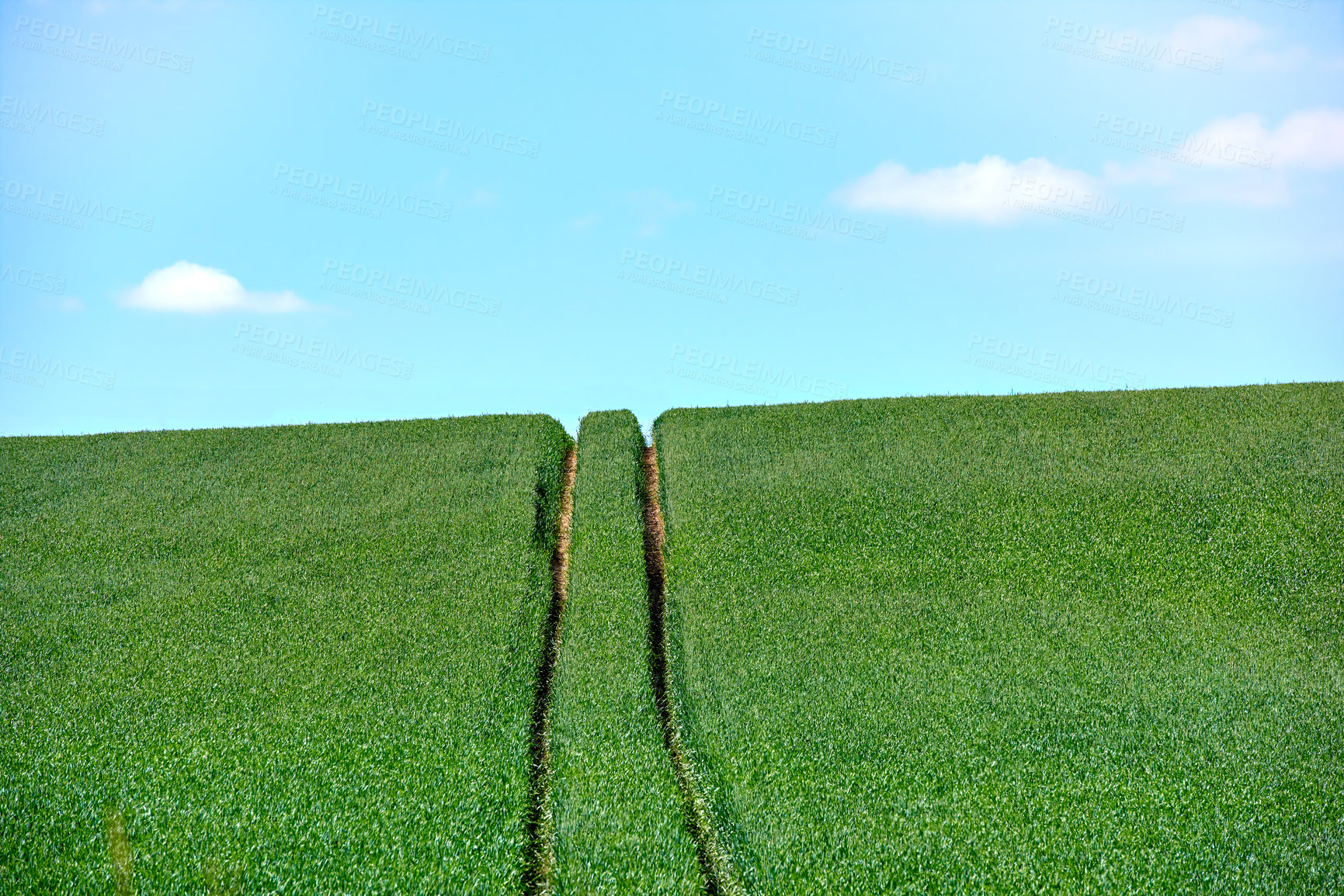 Buy stock photo Rolling Green fields and blue sky 