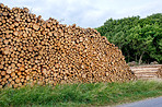 Lumber piles