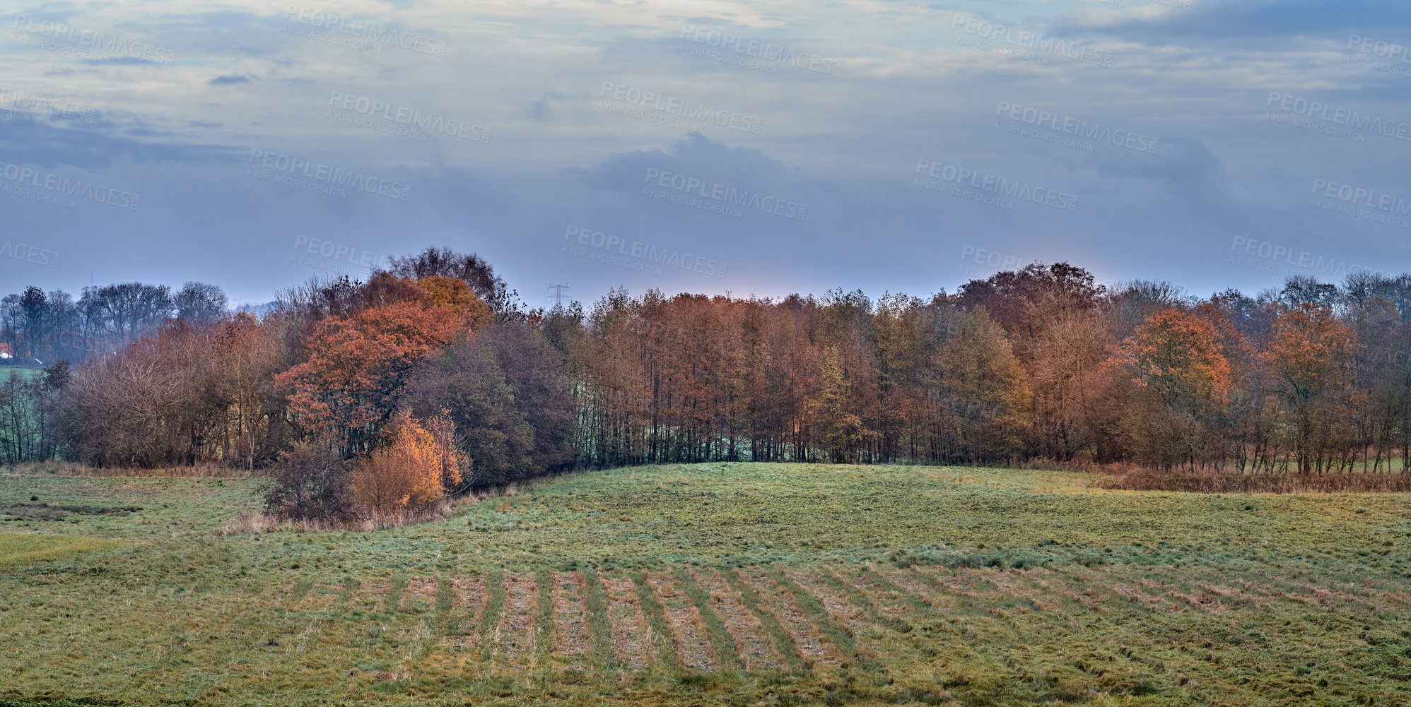 Buy stock photo Colorful autumn forest in a clearing with blue cloudy sky copy space. Beautiful nature landscape of foliage, field and bushes. Many trees with bright yellow, orange and green colors in fall season