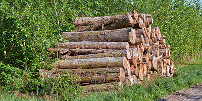 Buy stock photo Cut tree logs stacked together outdoors against green bushes, packed neat pile after being chopped in the process of deforestation in forest. Logging causing environmental damage and loss of habitat