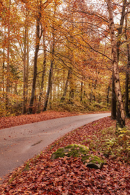 Buy stock photo Autumn - natural background