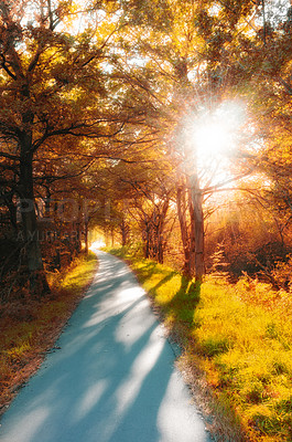 Buy stock photo Autumn - natural background