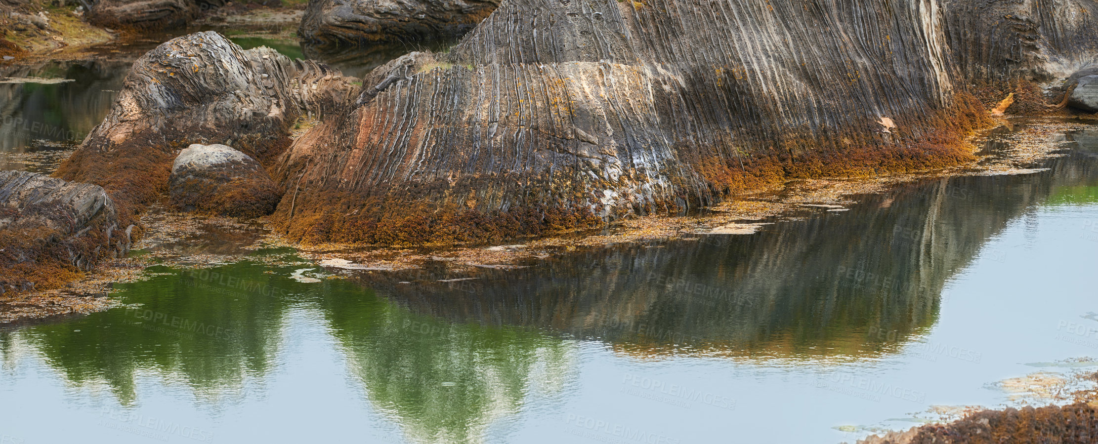 Buy stock photo Closeup of a calm river, pond or lake with boulders or rocks in green mossy water in the mountains. Scenic landscape view of a rocky texture and calm stream or creek in a remote location in nature