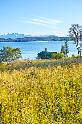 Buy stock photo Scenic view of uncultivated grass and lake house in a remote countryside. Wild flora and trees around a small wooden cabin and bay of water in Norway. Landscape of a river, ocean or sea with blue sky