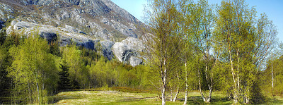 Buy stock photo Landscape of rocky mountain with forest trees and blue sky in Norway. Beautiful scenic view of nature with vibrant lush trees and vibrant green meadow around an iconic natural landmark in summer