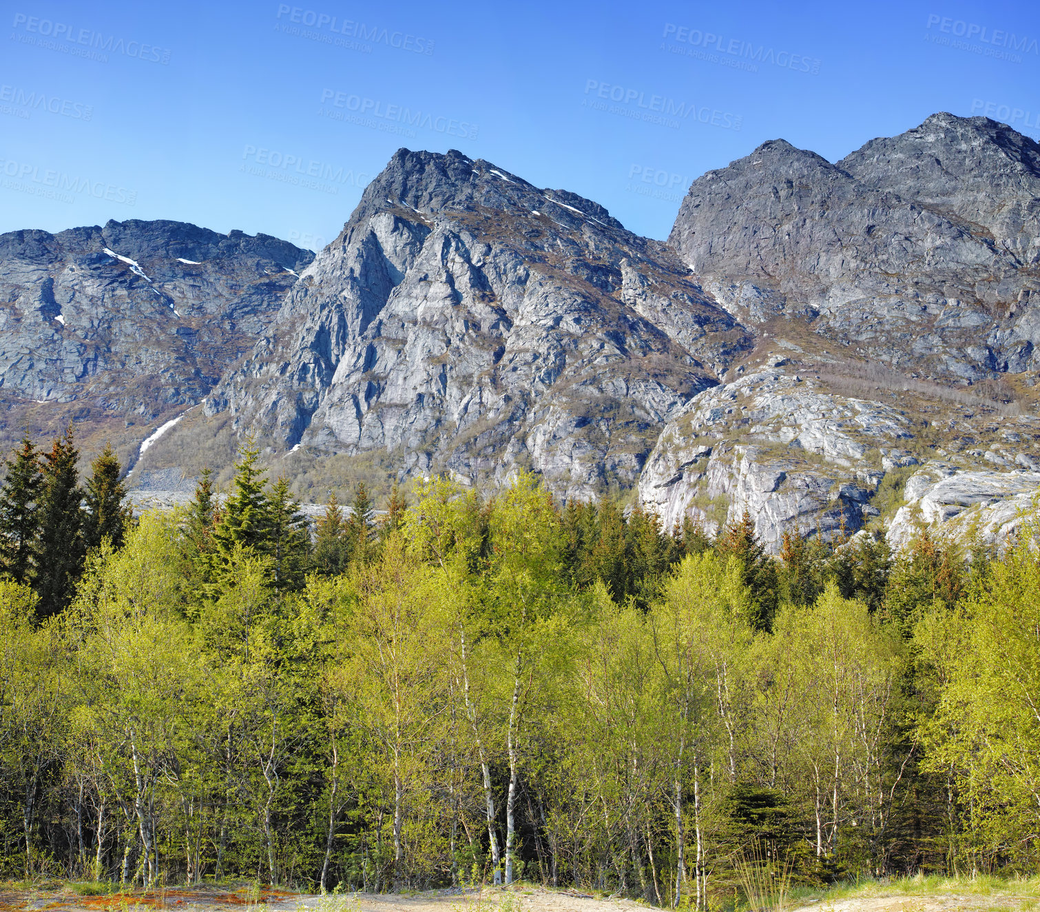 Buy stock photo Scenic mountain landscape view with forest trees and blue sky in Norway. Beautiful scenic view of nature with vibrant lush trees around an iconic natural landmark on a sunny day