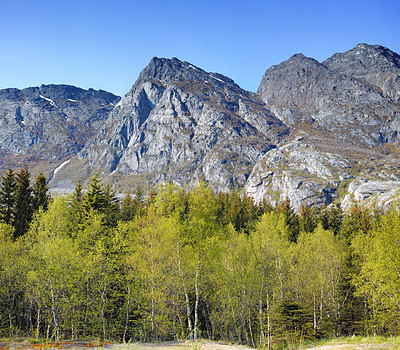 Buy stock photo Scenic mountain landscape view with forest trees and blue sky in Norway. Beautiful scenic view of nature with vibrant lush trees around an iconic natural landmark on a sunny day