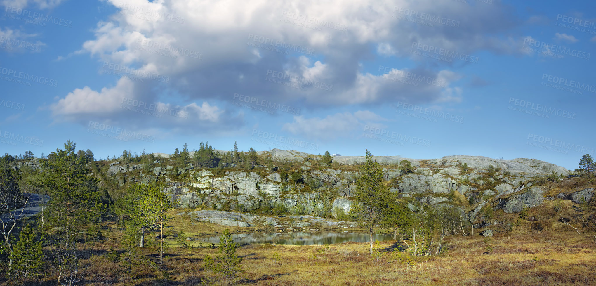 Buy stock photo Landscape of forest trees with a pond in the mountains on a cloudy blue sky with copy space. Summer nature scenery of lush green vegetation, grass, and uncultivated bushes on a mountain in Norway