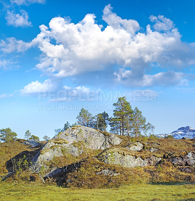 Buy stock photo Moss covering rock boulders in remote a countryside or meadow in Norway. Algae covered landscape in quiet, serene, tranquil nature reserve. Environmental hike with blue sky with clouds and copy space