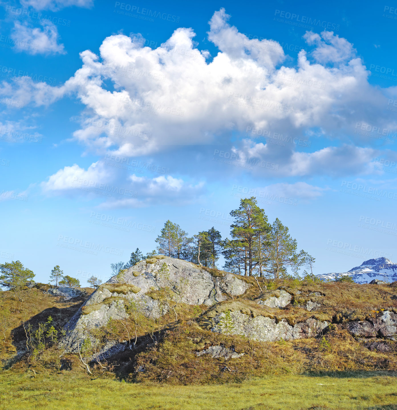 Buy stock photo Moss covering rock boulders in remote a countryside or meadow in Norway. Algae covered landscape in quiet, serene, tranquil nature reserve. Environmental hike with blue sky with clouds and copy space