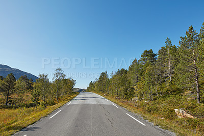 Buy stock photo An empty road surrounded by trees with clear blue sky and copy space. Landscape with a straight countryside asphalt roadway for traveling along a beautiful scenic forest in Norway