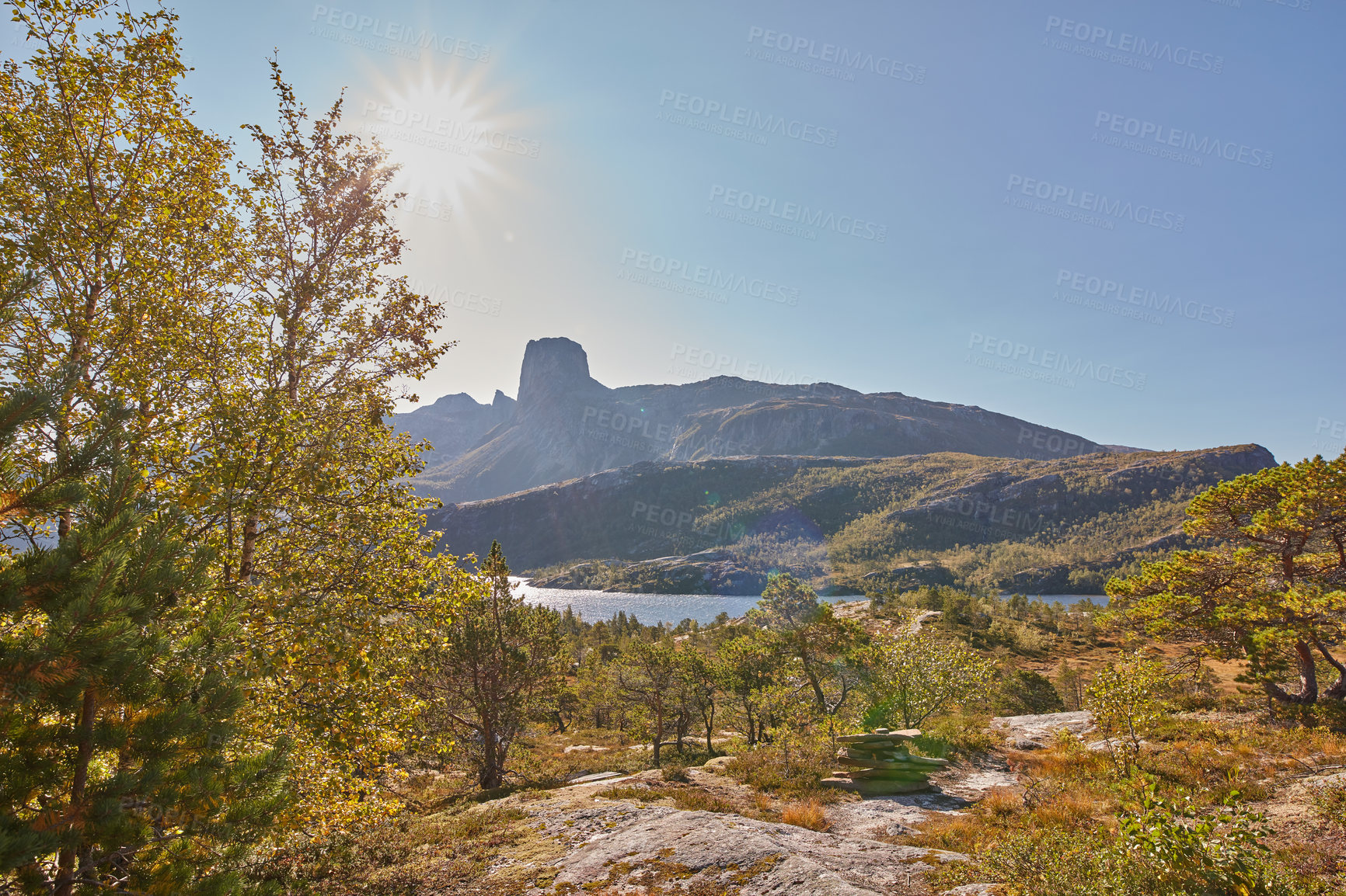 Buy stock photo Scenic view of mountain landscape view with forest trees and blue sky copy space in Norway. Beautiful scenery of nature with vibrant lush trees around an iconic natural landmark on a summer day