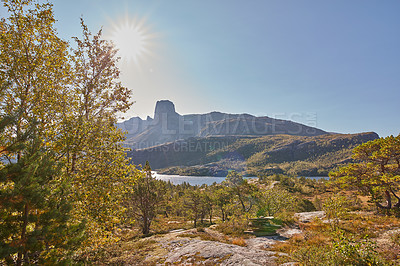 Buy stock photo Scenic view of mountain landscape view with forest trees and blue sky copy space in Norway. Beautiful scenery of nature with vibrant lush trees around an iconic natural landmark on a summer day