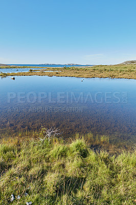 Buy stock photo Scenic view of a river flowing through a swamp and leading to the ocean in Norway. Landscape view of blue copy space sky and a marshland. Overflow of water flooding a field after the rainy season