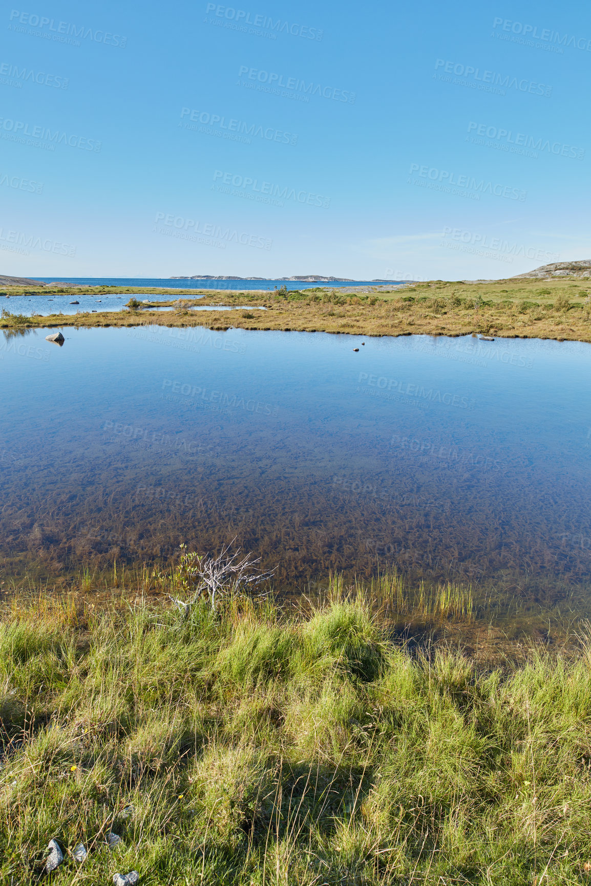 Buy stock photo Scenic view of a river flowing through a swamp and leading to the ocean in Norway. Landscape view of blue copy space sky and a marshland. Overflow of water flooding a field after the rainy season