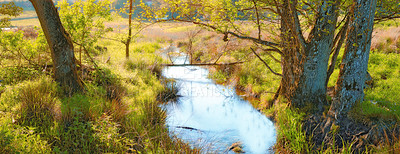 Buy stock photo Danish nature