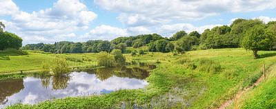 Buy stock photo Scenic view of a pond, uncultivated trees and swamp bushes around a lake or bay of water in Norway. Landscape of wild flora growing in remote countryside. Calm, serene, peaceful, quiet nature pond