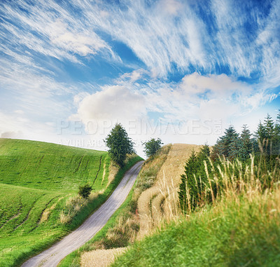 Buy stock photo Landscape view of a dirt road in a countryside leading over a hill against a cloudy blue sky with copyspace. Travel to remote fields and meadows. Copyspace with pine trees, grassland and shrubs