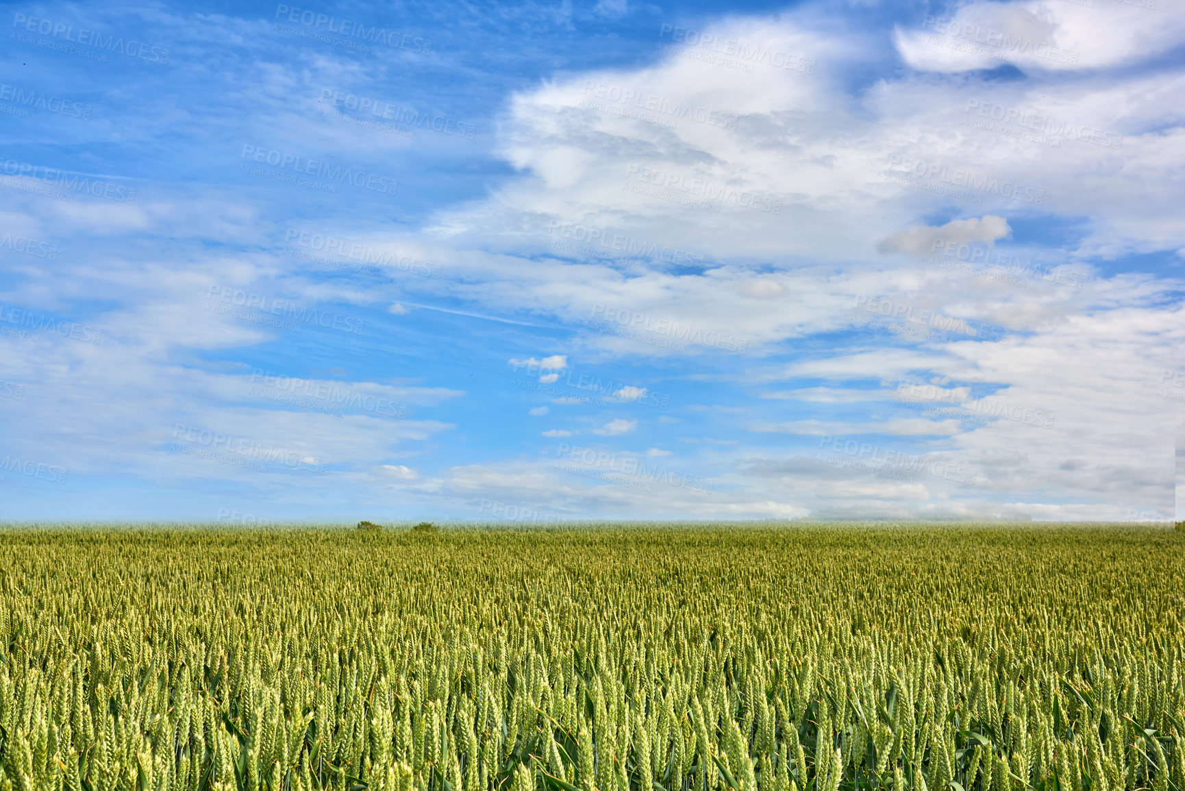 Buy stock photo Danish nature