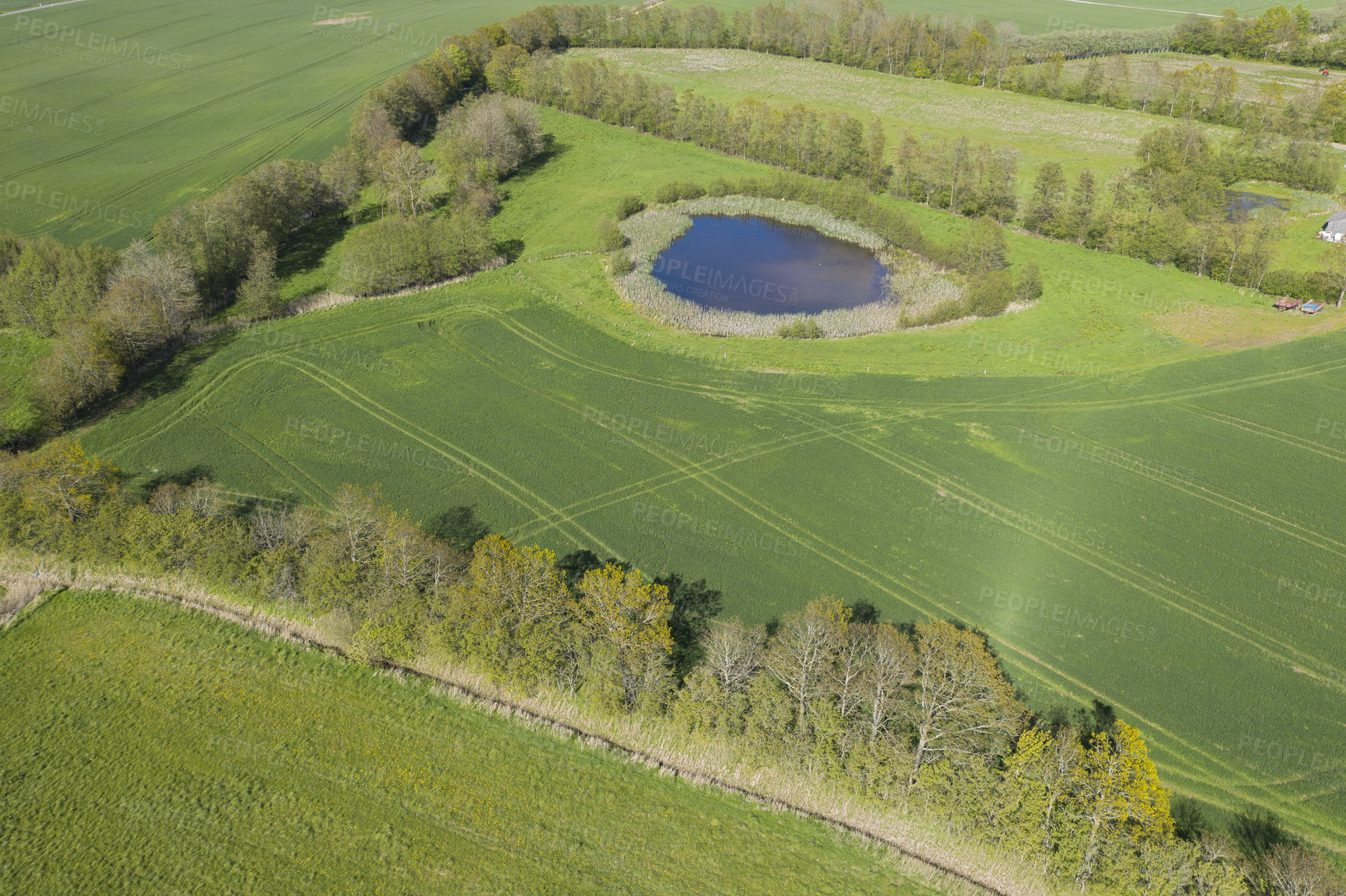 Buy stock photo Aerial view landscape of a green farmland in the countryside of Jutland, Denmark. Secluded and empty grassland in summer from above. Deserted scenery in a quiet rural area for relaxation and farming