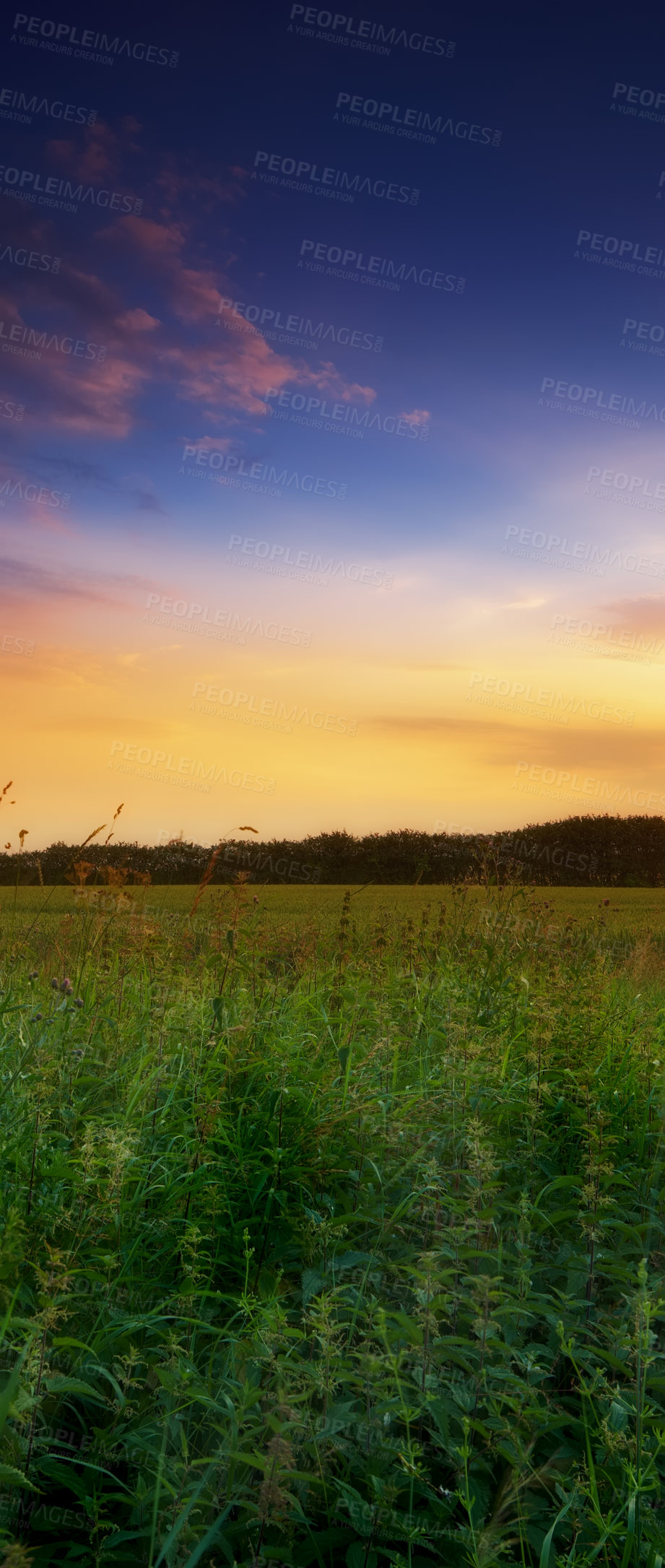 Buy stock photo A photo of a beautiful summer sunset at the countryside