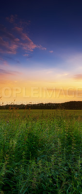 Buy stock photo A photo of a beautiful summer sunset at the countryside