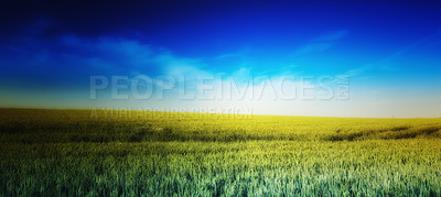 Buy stock photo Farmland ready for harvesting