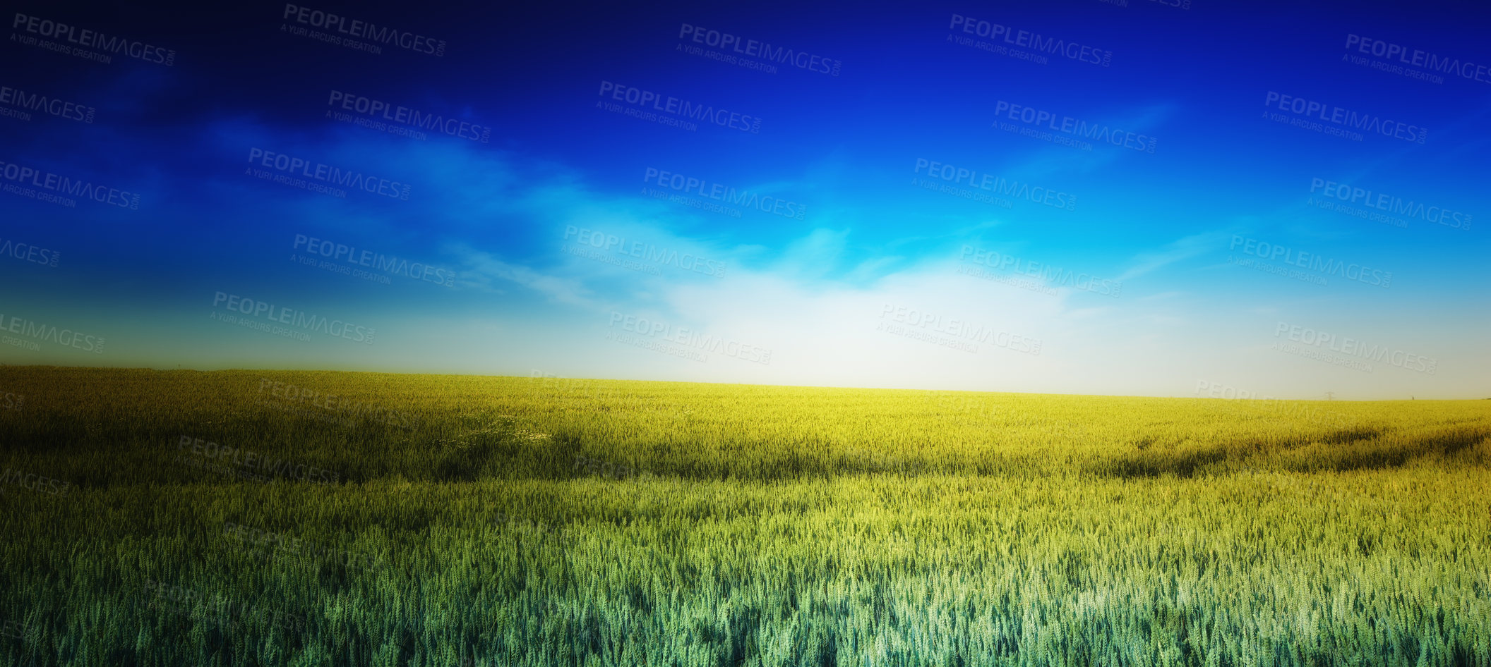 Buy stock photo Farmland ready for harvesting